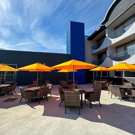 Comfort Suites Kingston Central Экстерьер фото